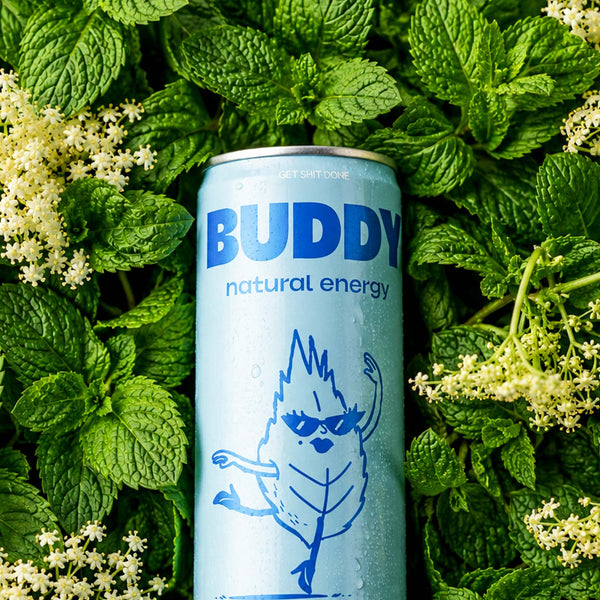 Menthe Sureau